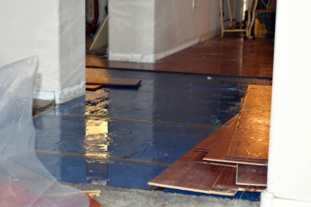 Professional Burst Pipe Cleanup technician working in Franktown, CO